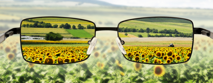 05_06_luhinagelikkus_fotol