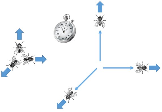 06_06_liikumissuund_on_oluline
