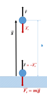 17_liikumine_raskusjou_mojul